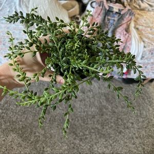 Small fake ikea plant